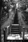 018.jpg (20kb)
