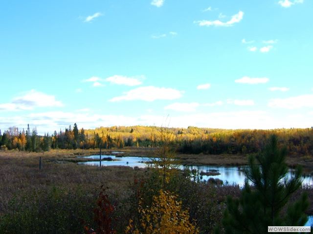 FH010034