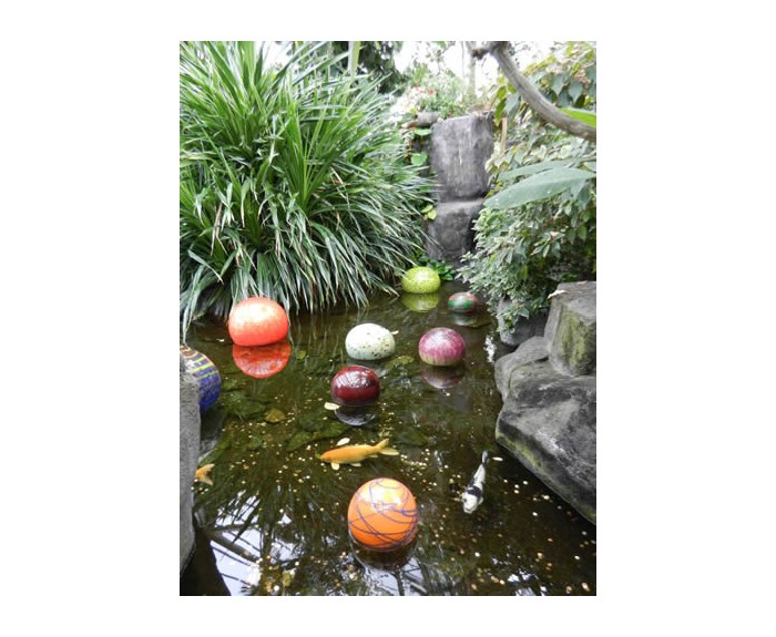 DSCN1155