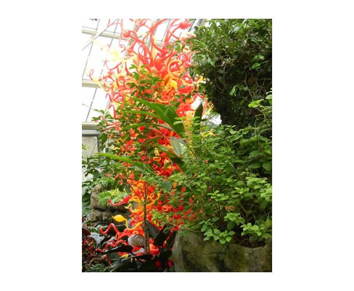 DSCN1169