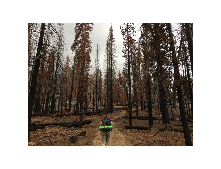 Burn Zone