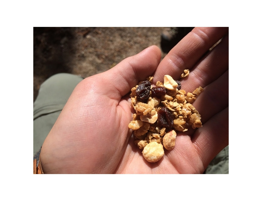 Breakfast-Lunch-Dinner GORP